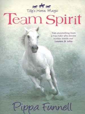cover image of Team Spirit